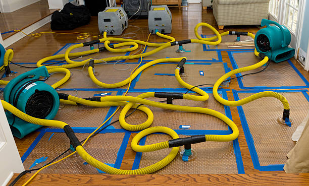 Professional Water Extraction technician working in Overgaard, AZ